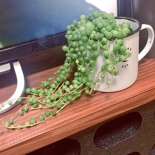 karasunyanさんの実例写真