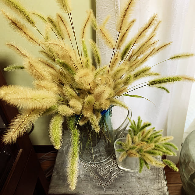 miicyanさんの実例写真