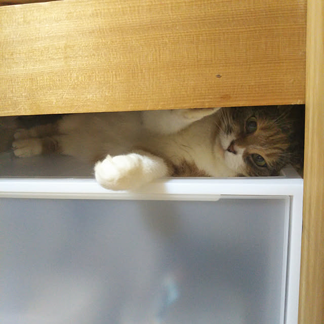 yukieさんの実例写真