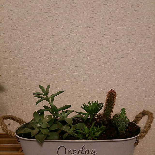 Roseさんの実例写真