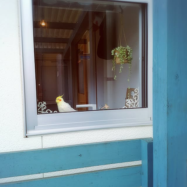 keikorinさんの実例写真