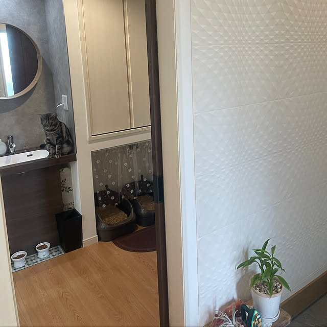 yumiさんの部屋