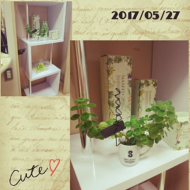 bousuke.215112さんの実例写真