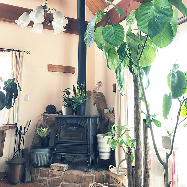 暖炉の上/暖炉周り雑貨/観葉植物/観葉植物のある暮らし/アルテシマ...などのインテリア実例 - 2020-03-07 00:08:27