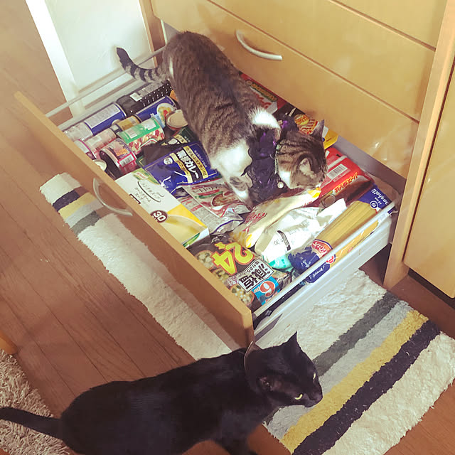 jijiさんの実例写真