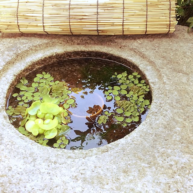 takadon_haさんの実例写真