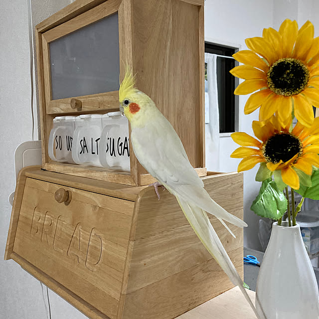 toratanさんの実例写真