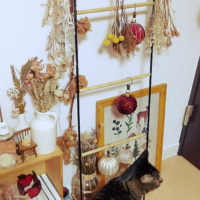 sleepywhaleさんの実例写真