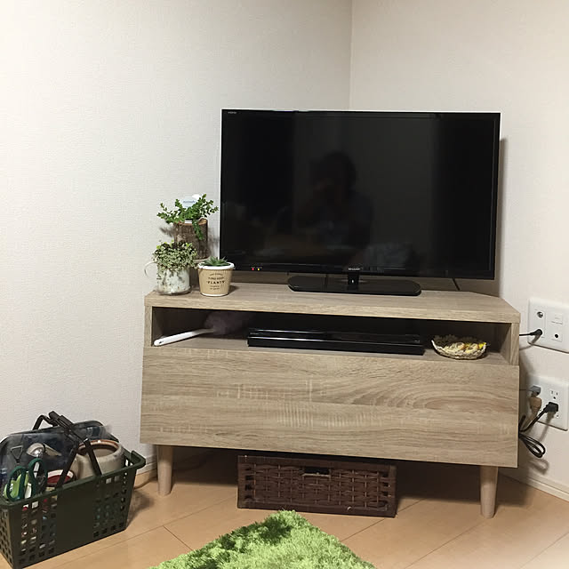 実例写真