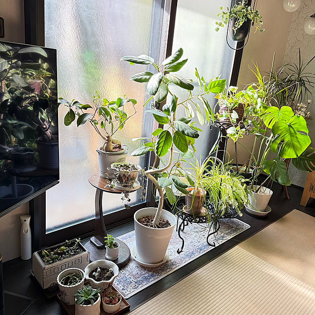 yumirilさんの部屋