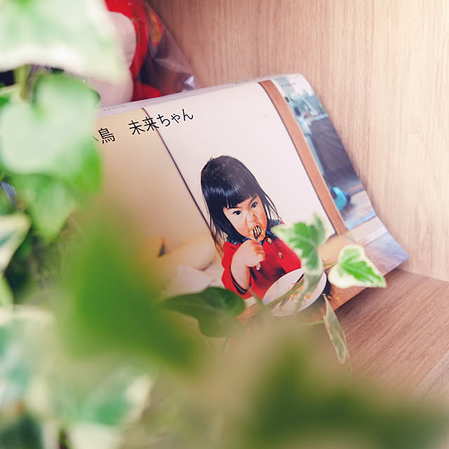 実例写真