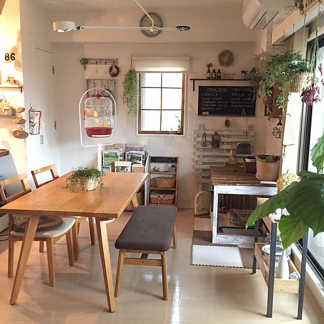 いいね！ありがとうございます◡̈♥︎/グリーンのある暮らし/ダイニングテーブル/雑貨/ナチュラル...などのインテリア実例 - 2017-09-22 21:50:47