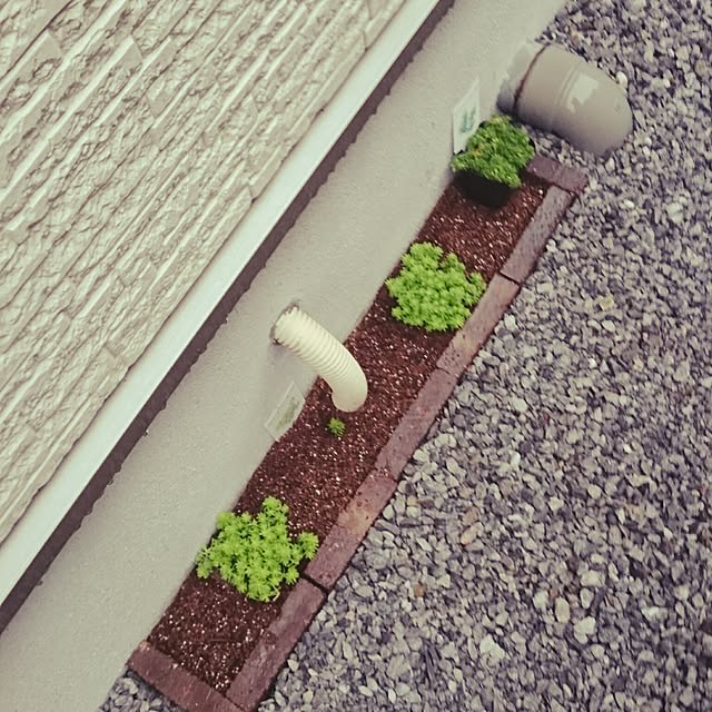 hideさんの実例写真