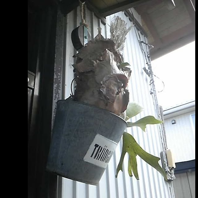INDOORさんの実例写真
