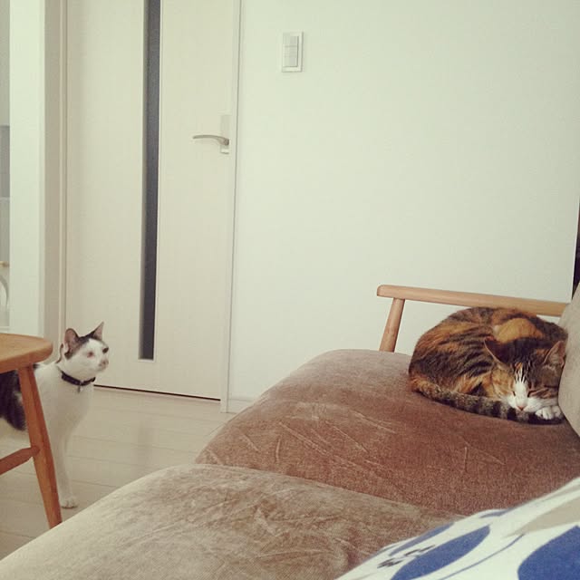 oginさんの実例写真