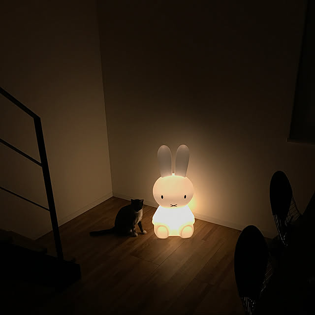 Hoshiさんの実例写真