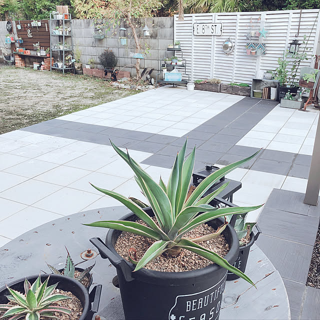 craneさんの実例写真
