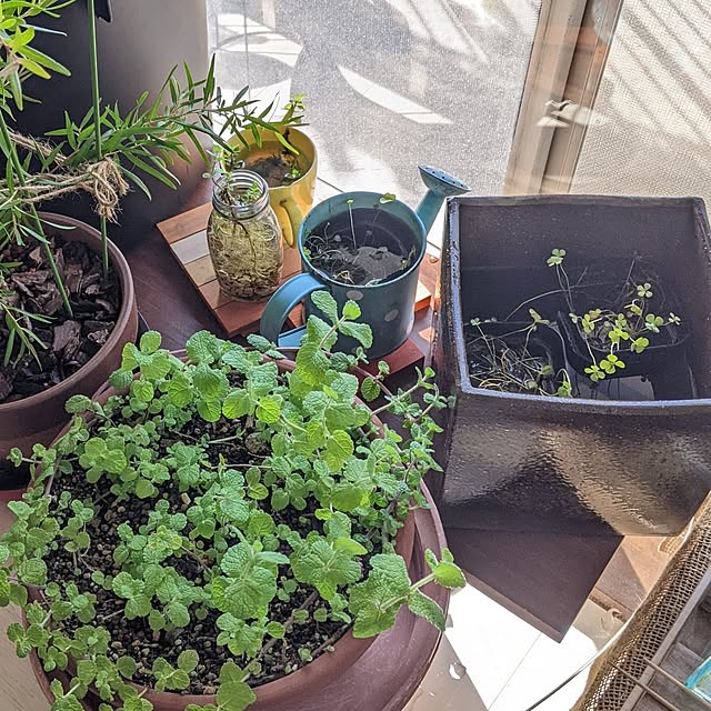 mi-saさんの部屋