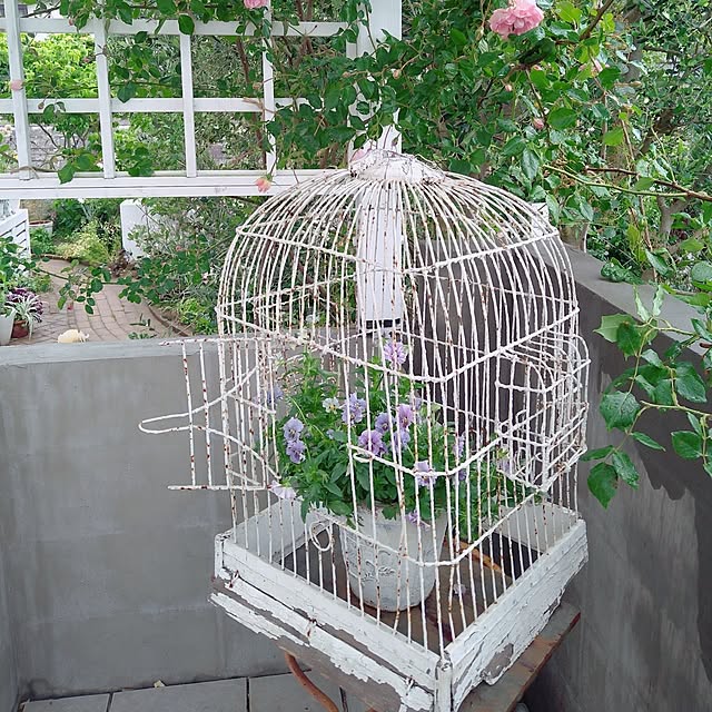 kiyosukeさんの部屋