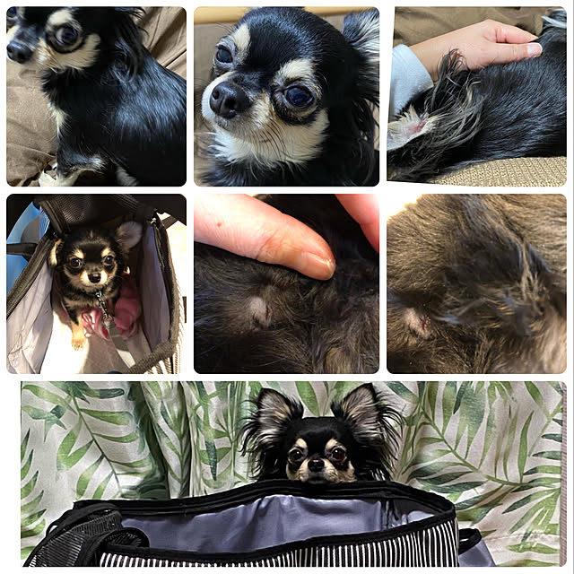 melmelさんの実例写真