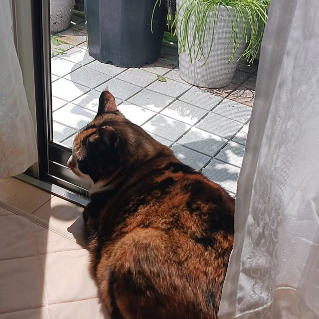 aiさんの実例写真