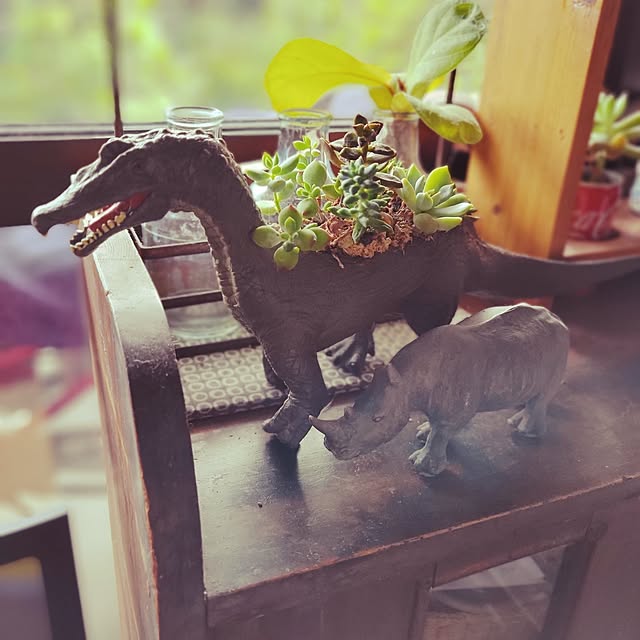 shinkoukei-hahaさんの部屋