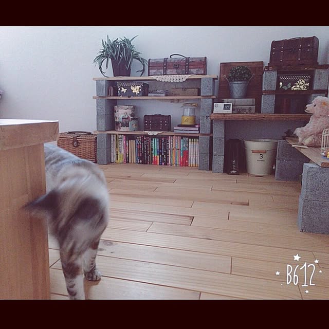 mjさんの実例写真