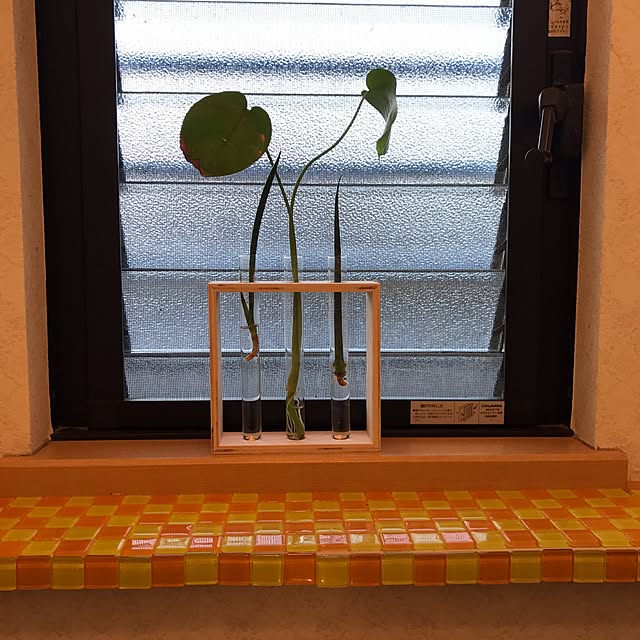 apparadeさんの実例写真