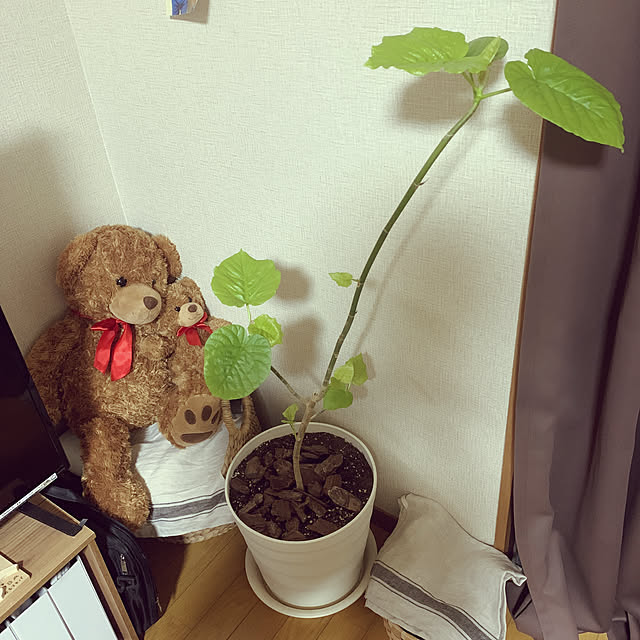 kuromiさんの実例写真