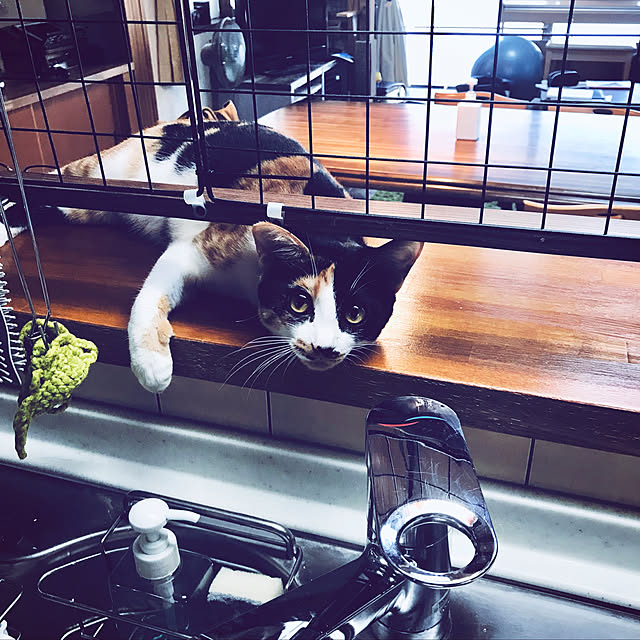 maroさんの実例写真
