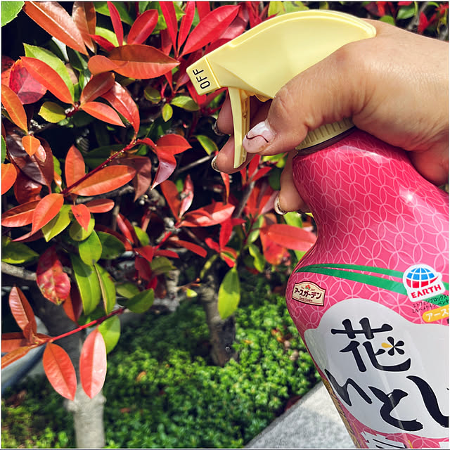 実例写真