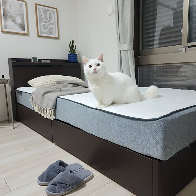 tomatoさんの部屋