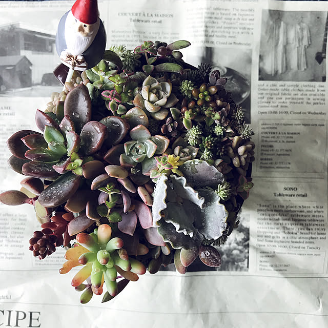 miyamiyaさんの実例写真