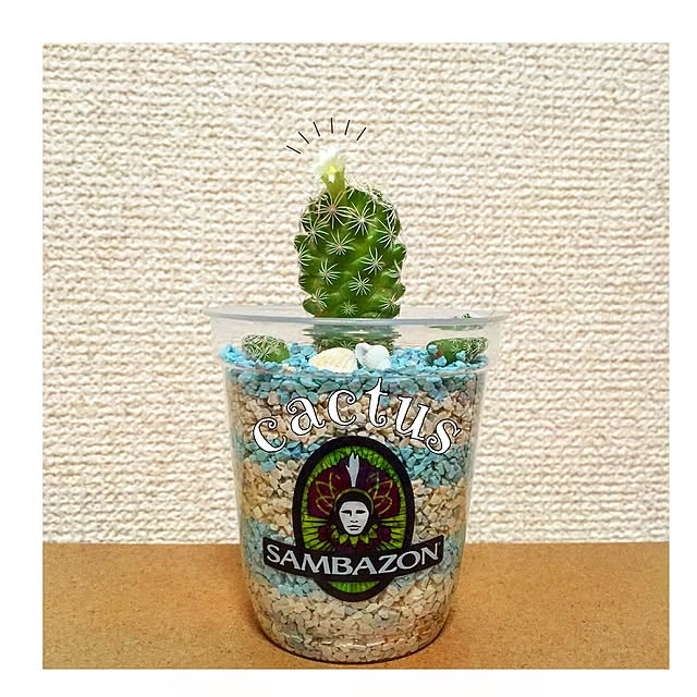 gizumiiiiiさんの実例写真