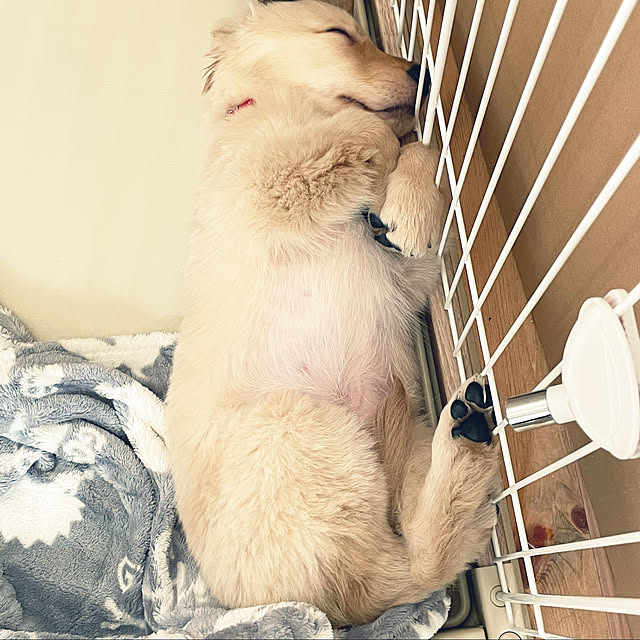 marinkoさんの実例写真