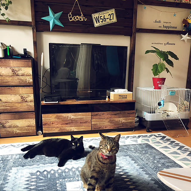 yamasanさんの実例写真