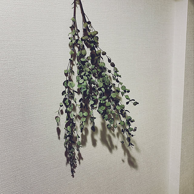 shunさんの実例写真