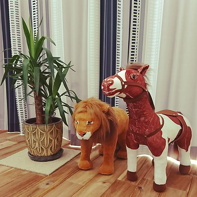 himarisiさんの実例写真