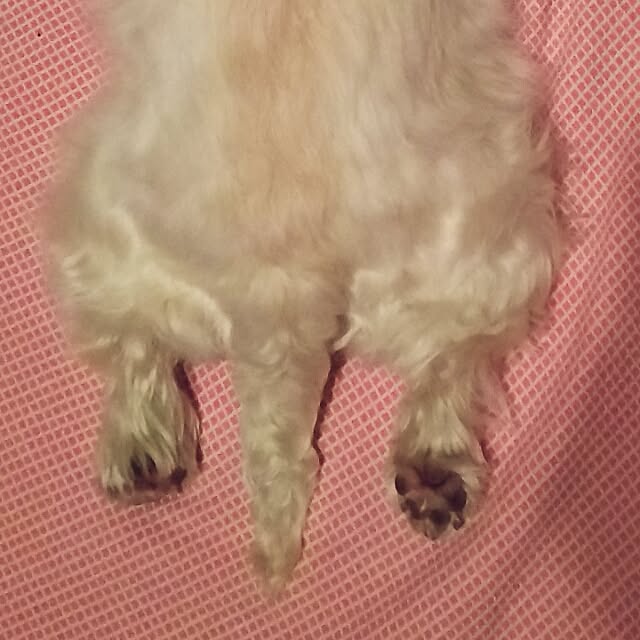 hattiさんの実例写真
