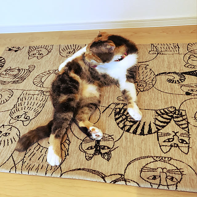 mamekinaさんの実例写真