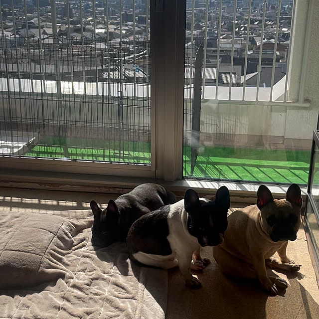oggy0301さんの実例写真