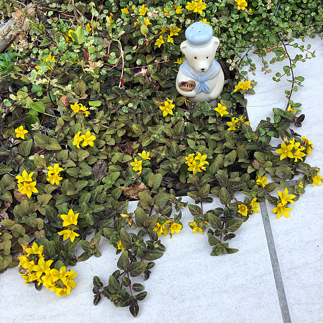 HEISEIKAZOKU.さんの実例写真