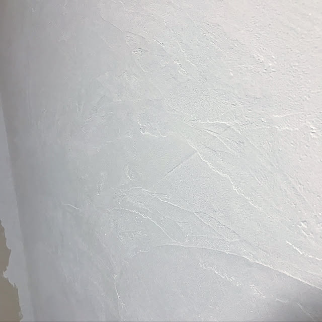 壁/天井/漆喰壁DIYのインテリア実例 - 2018-06-12 17:24:20