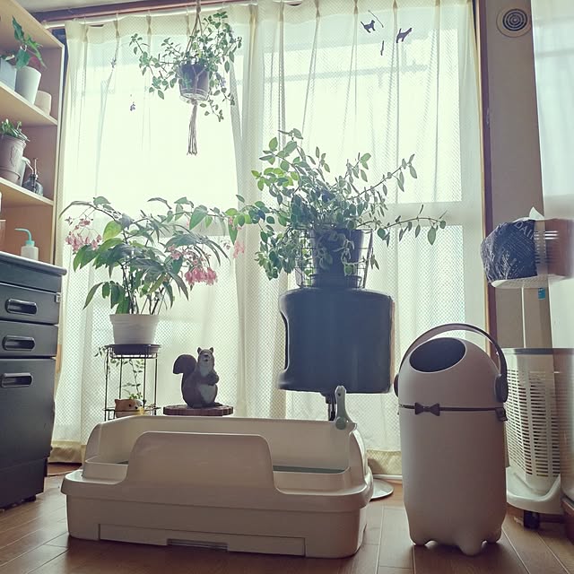 NOAHさんの実例写真