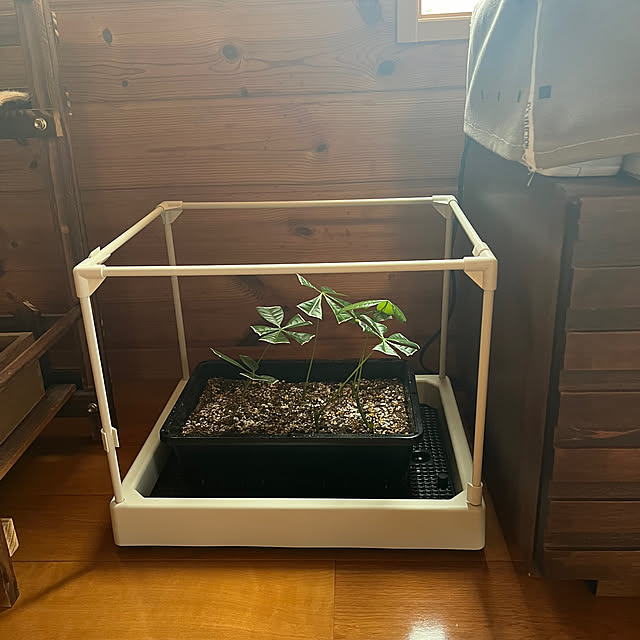 mogumoguさんの部屋