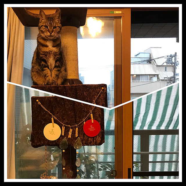 lavie0125さんの実例写真