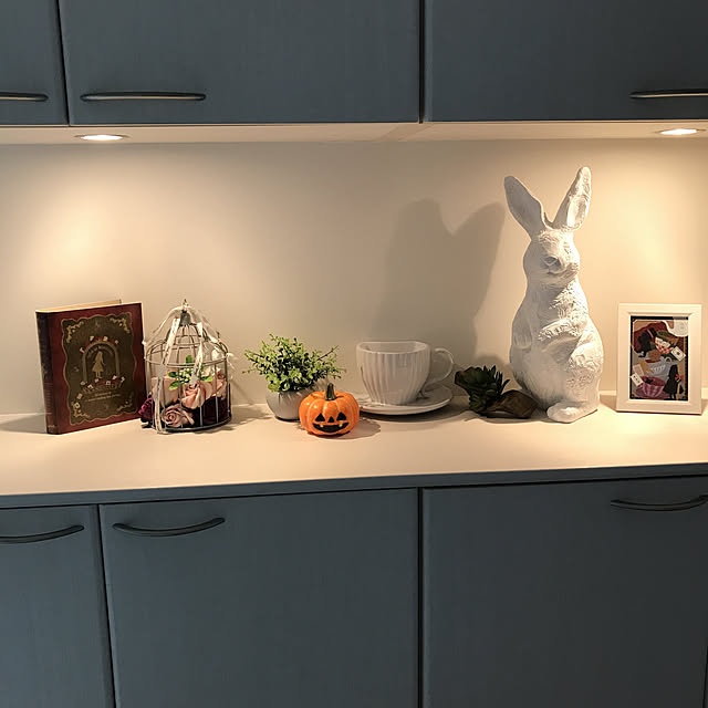 hiro_hiromiさんの実例写真