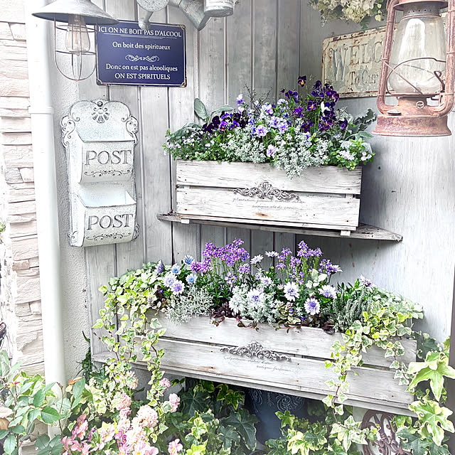 soraさんの実例写真