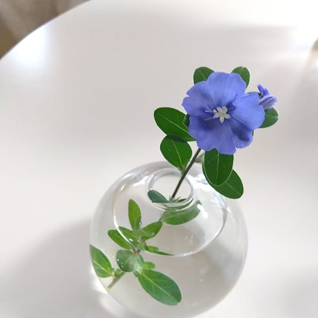 机/一輪挿し/グリーンのある暮らし/RC の出会いに感謝!/植物のある暮らし...などのインテリア実例 - 2024-06-30 12:49:21
