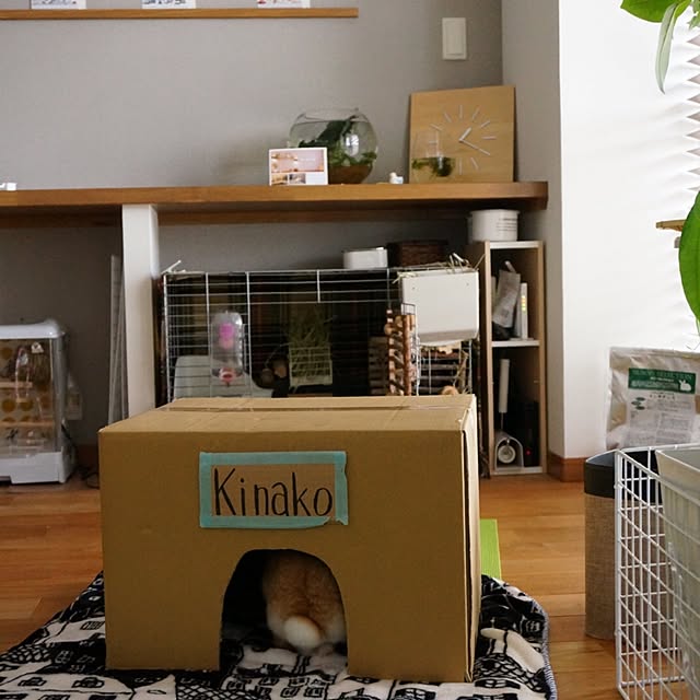 kinako_shiro_ginさんの実例写真